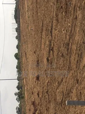 Perfect Dream Location Half Plots- Prampram