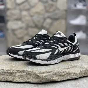 Original Nike Air Pegasus 2K5