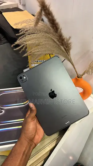 Apple iPad Pro 11 (2024) 256 GB Black