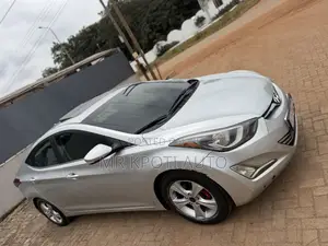 Hyundai Elantra 2014 Gray