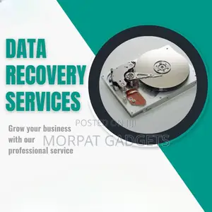 Data Recovery Service (Harddrives & SSD)