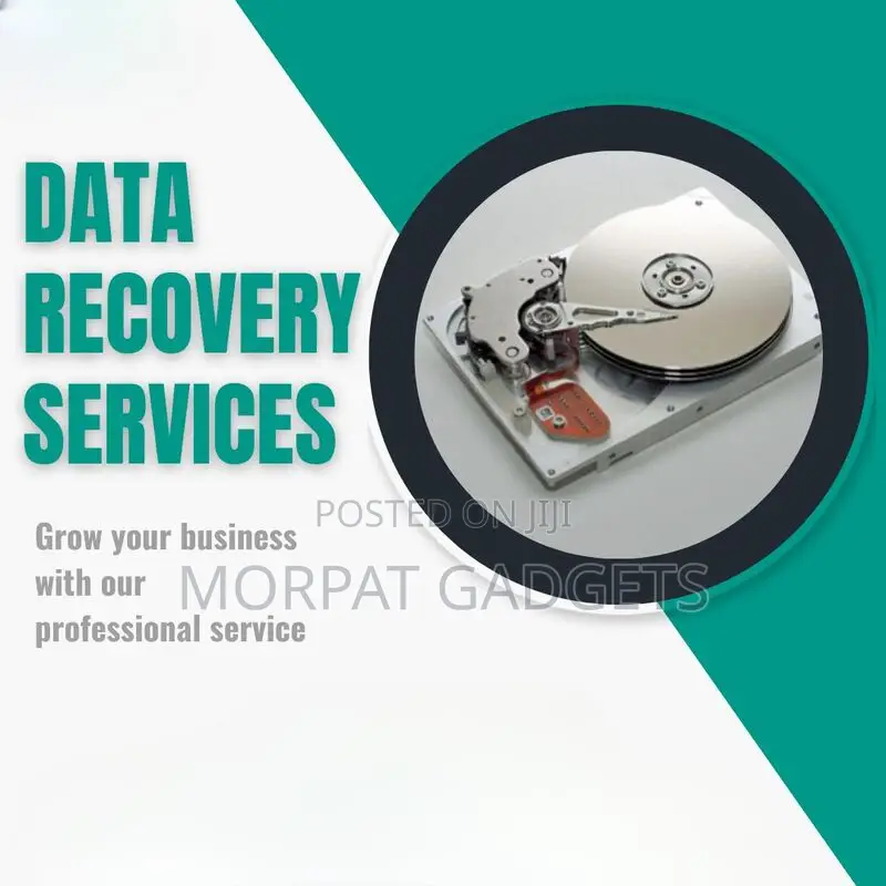 Data Recovery Service (Harddrives & SSD)