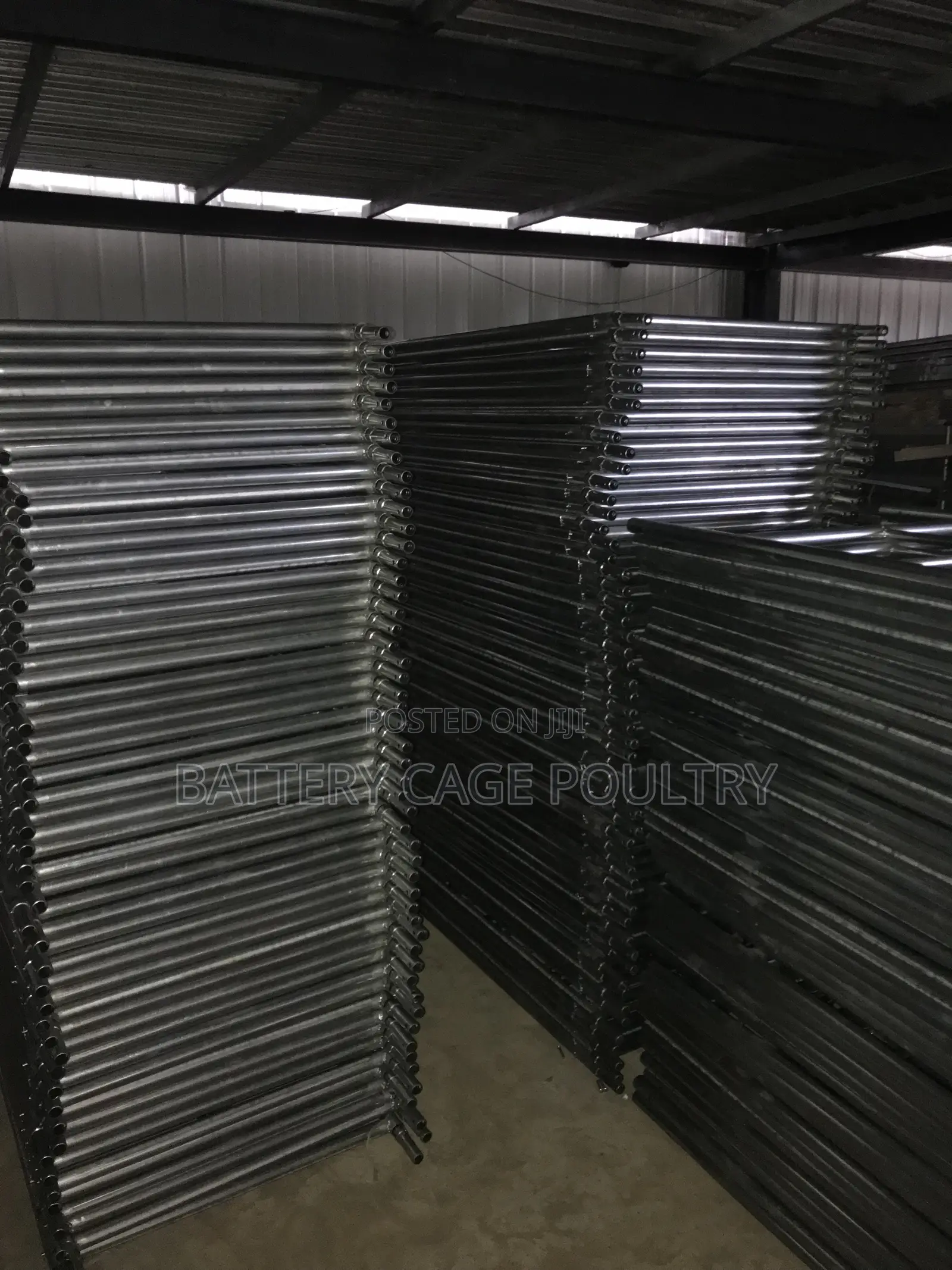 King Scaffold