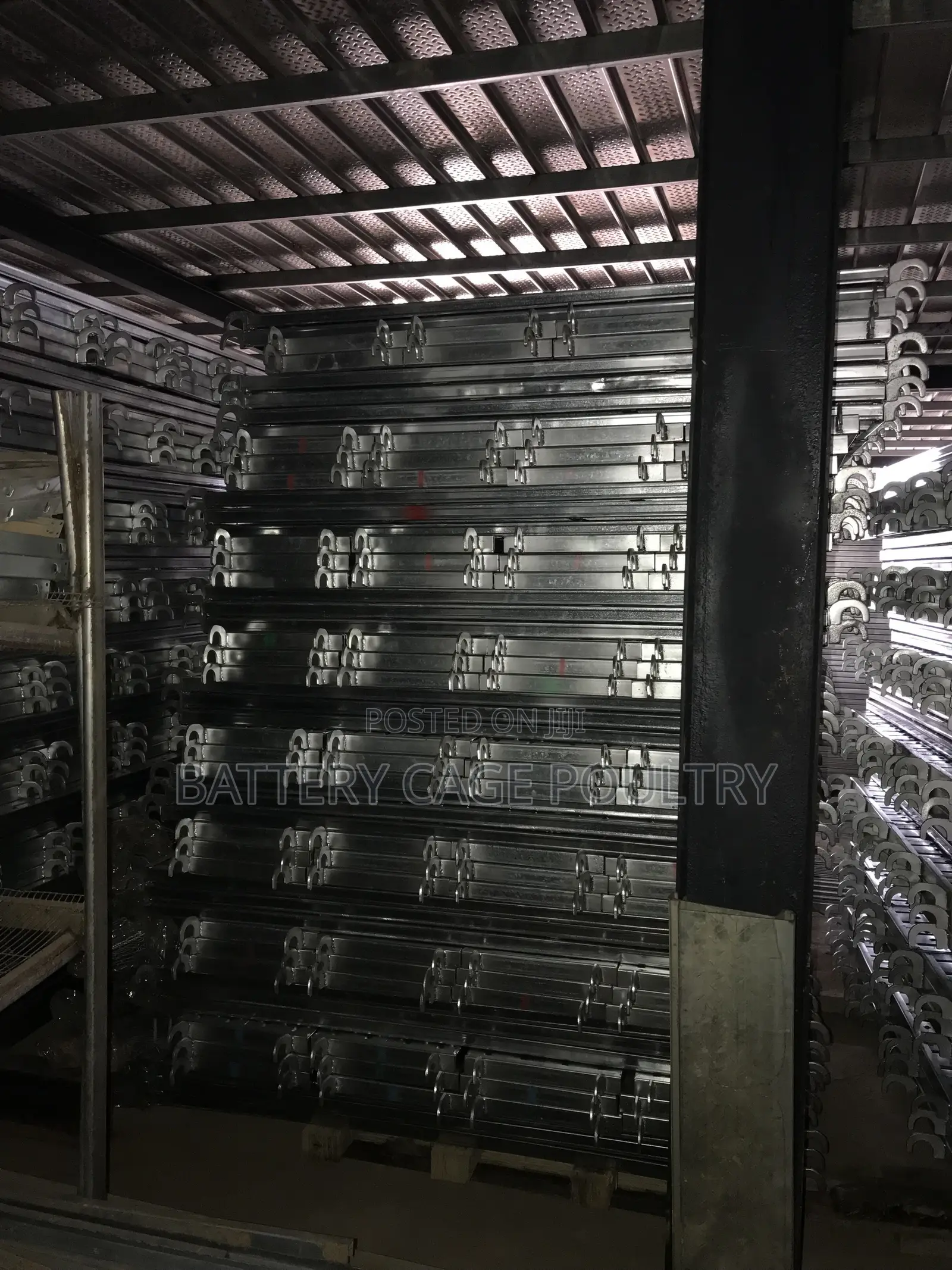 King Scaffold