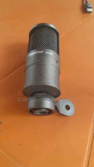 Takstar Studio Mic