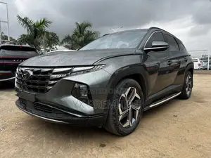 Hyundai Tucson Limited 2022 Gray