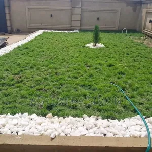 Garden Work and Landscape