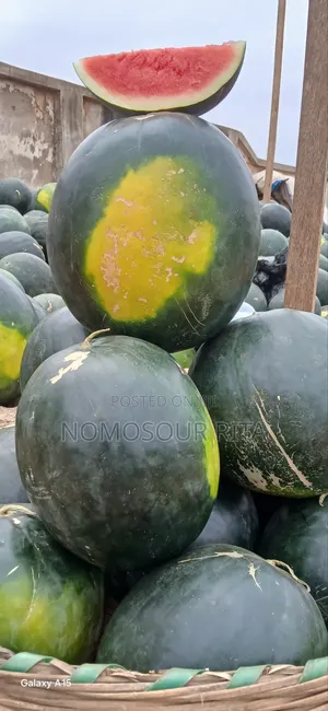 Fresh Organic Watermelon