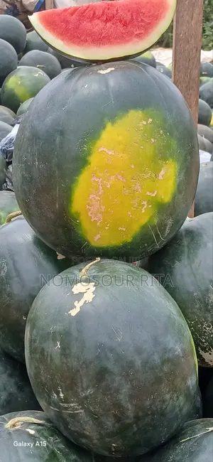 Fresh Organic Watermelon