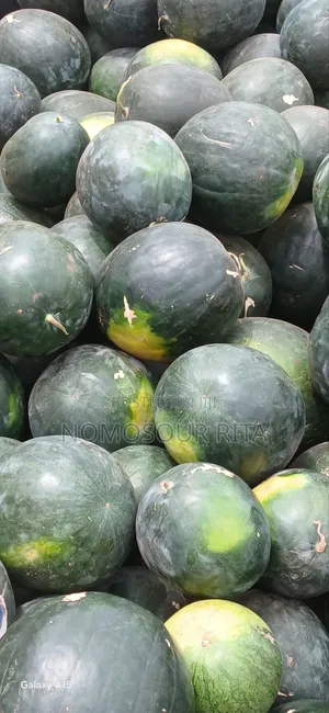 Fresh Organic Watermelon