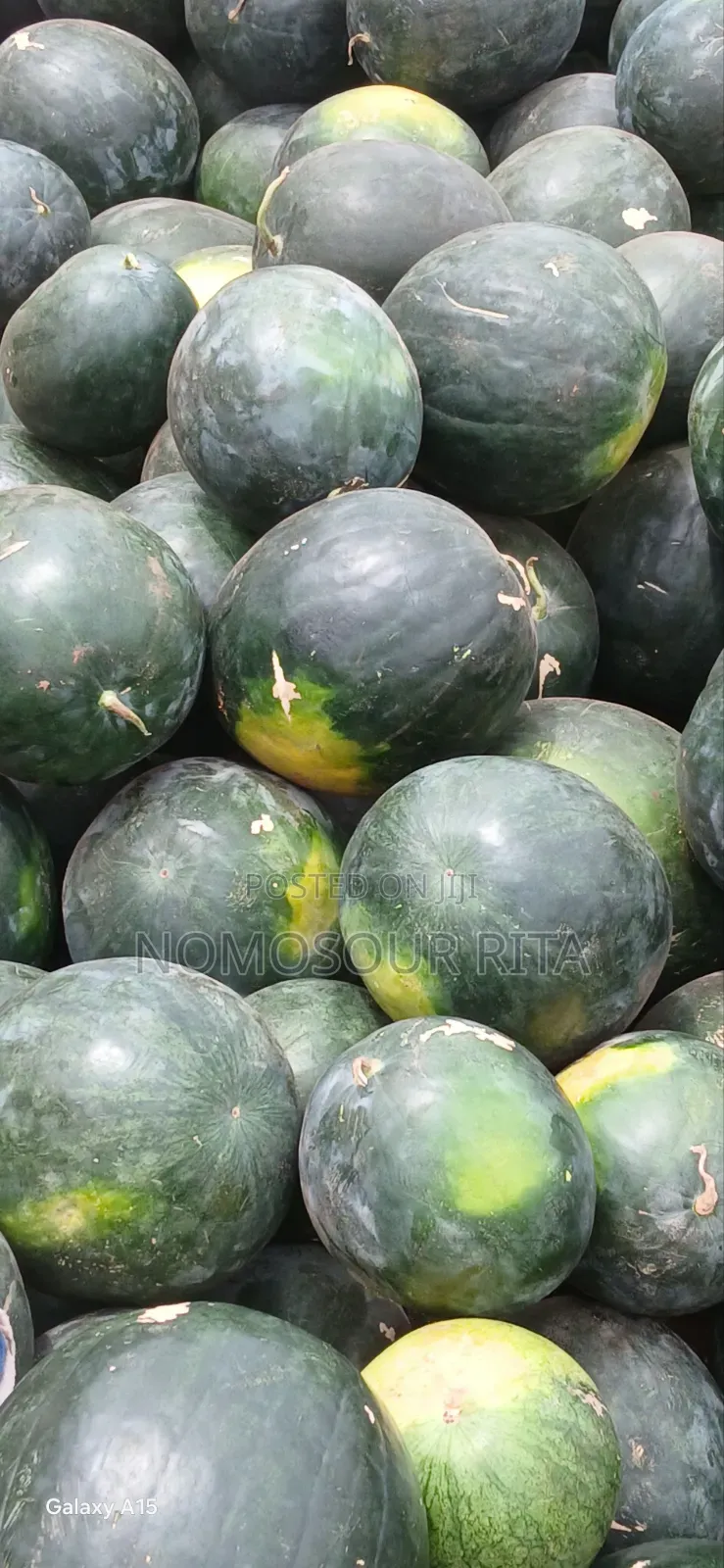 Fresh Organic Watermelon