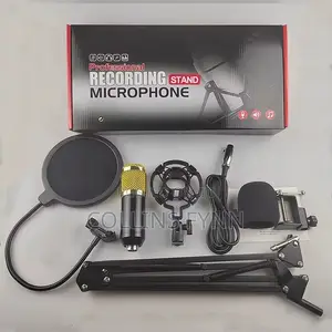 Podcast and Studio Mic