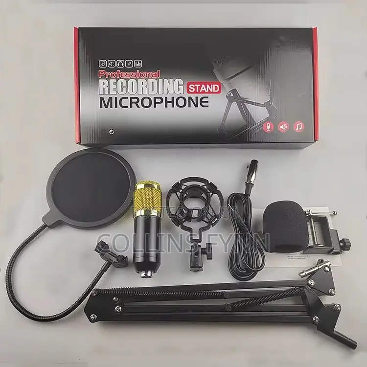 Podcast and Studio Mic