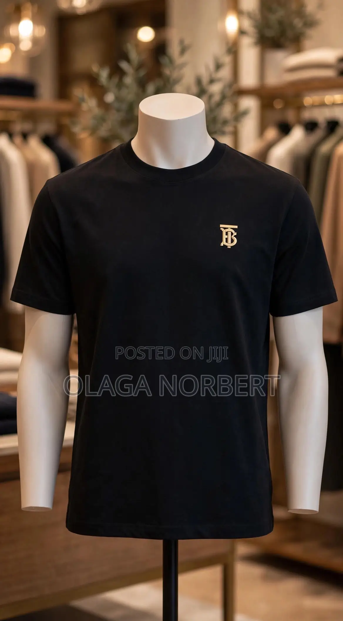 Norbert Collections