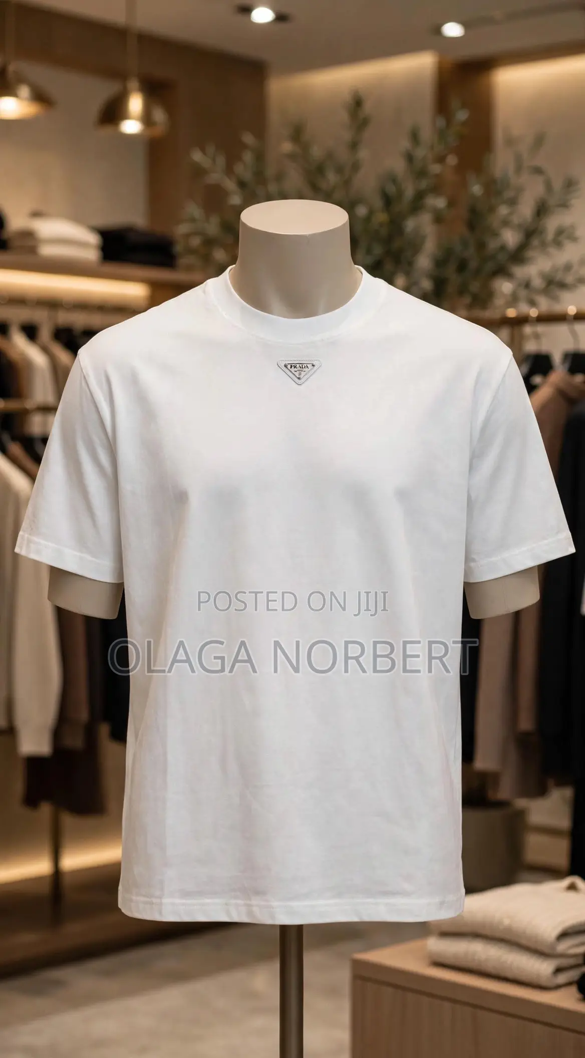 Norbert Collections