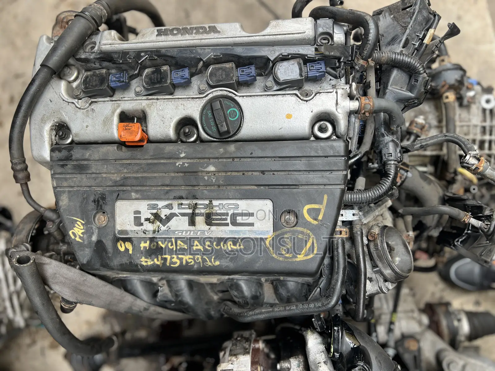 Honda Accord Engine and Transmission