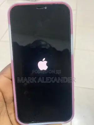 Apple iPhone 12 Pro Max 256 GB Blue