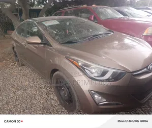 Hyundai Elantra 2014 Brown