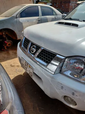 Nissan Hardbody 2020 White