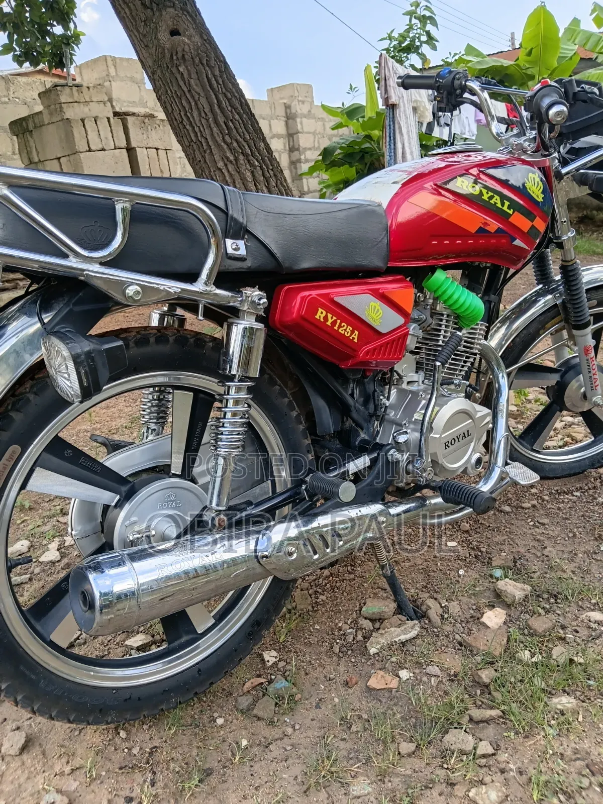 Royal RY125 2026 Red