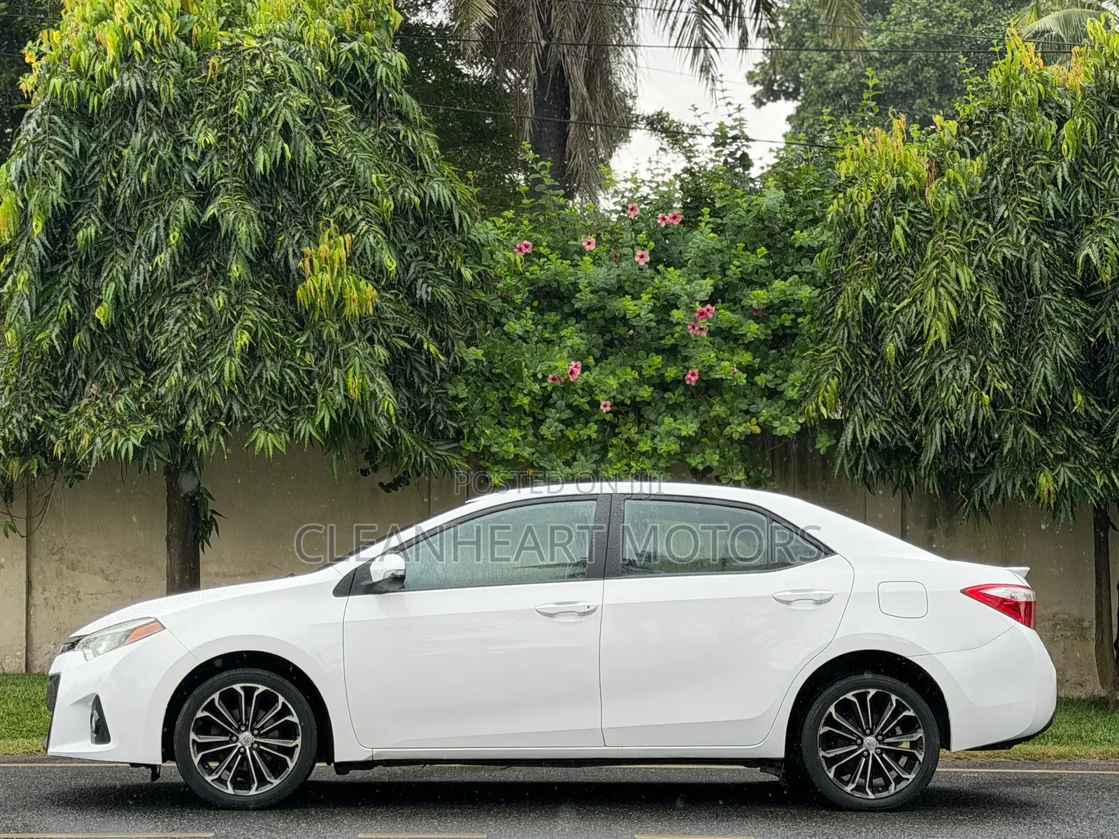 Toyota Corolla 2016 White