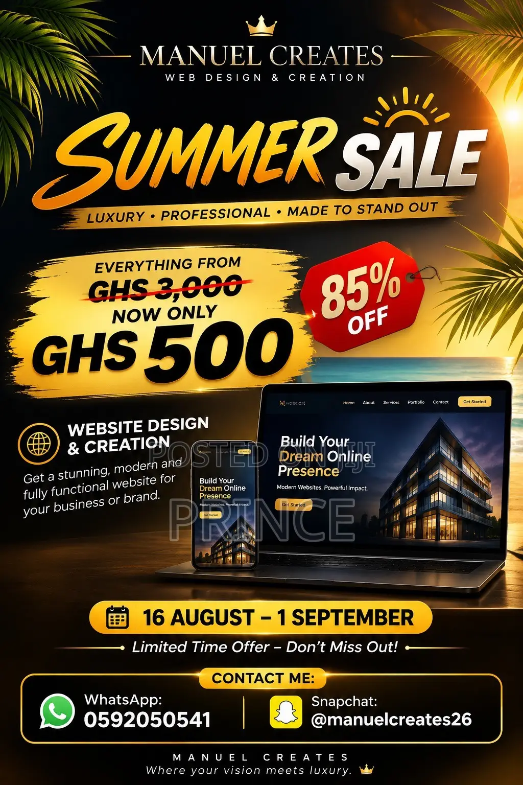 Website Developer Promo
