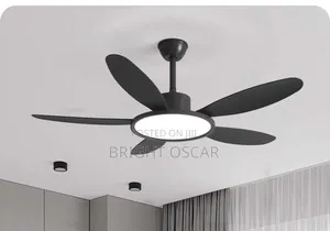 Executive Art Celling Fun With Remote