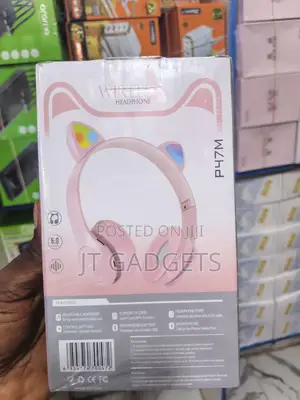 Cat Ear Headphone