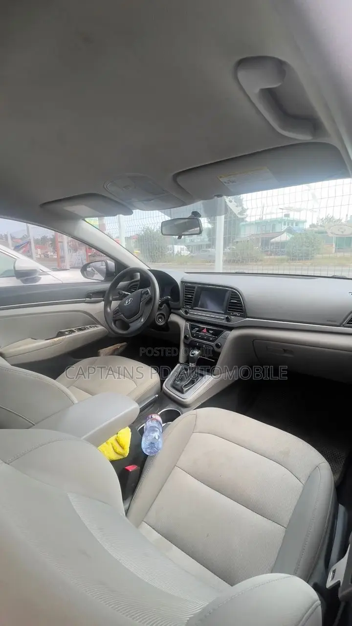 Hyundai Elantra 2017 Gray