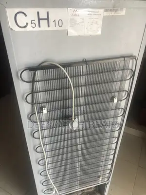 Zara Double Door Fridge