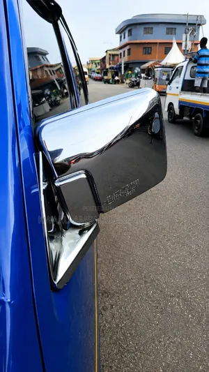 Chrome Side Mirror - Cecilia Mirror