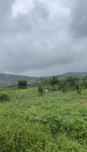 One Plot of Land