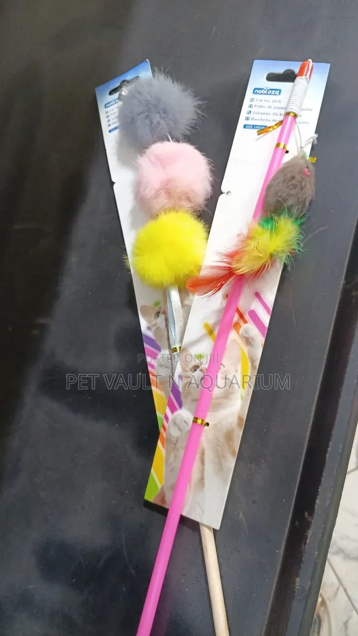 Cats Play Toys