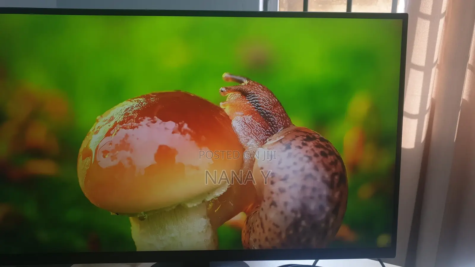 AOC 4k Gaming Monitor