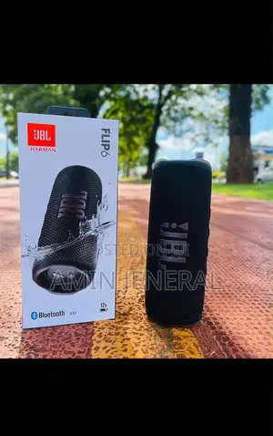 JBL Flip 6