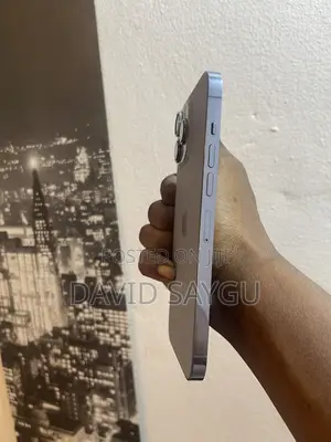 Apple iPhone 13 Pro Max 512 GB Gray