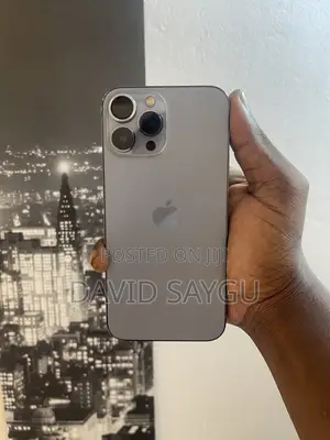 Apple iPhone 13 Pro Max 512 GB Gray