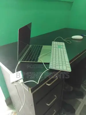 Web Developer