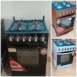 Rafiiq Auto Ignition Gas Burner
