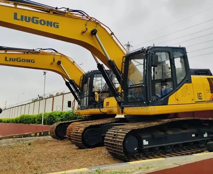Liugong Excavator for Sale (Installment Plan Available)