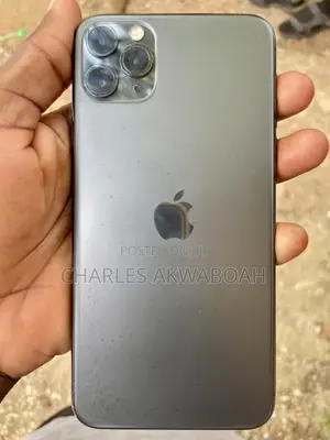 Apple iPhone 11 Pro Max 256 GB Gray