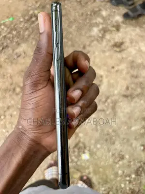 Apple iPhone 11 Pro Max 256 GB Gray