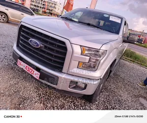 Ford F-150 2017 Silver