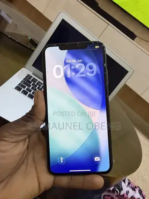 Apple iPhone 11 Pro Max 256 GB Gray