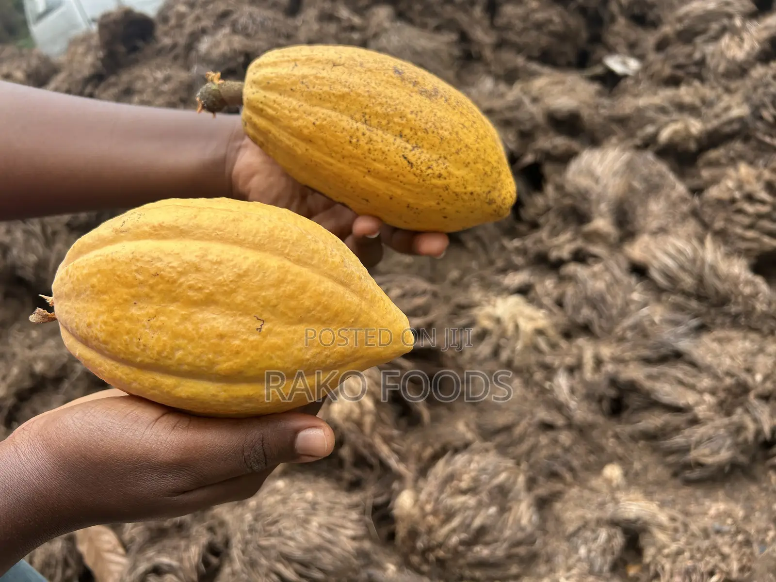 Organic Fertilizer