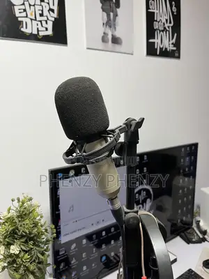 Studio Microphone