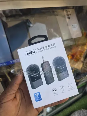 3 in 1 Mini Mic With Display