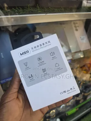 3 in 1 Mini Mic With Display