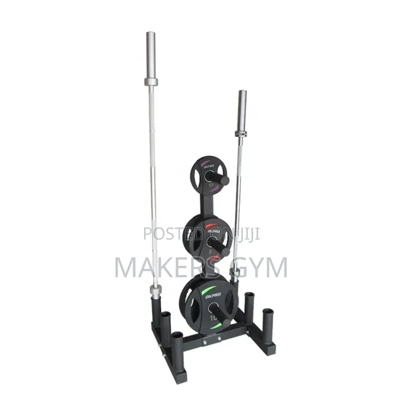Olympic Weight Plate Rack