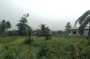 VOLTA REGION, HO (SAVIEFE) _ 20 Plots Building Land